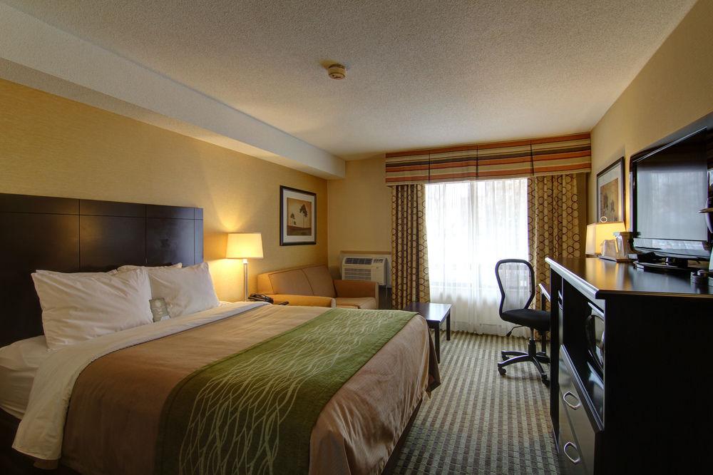 Chatham-Kent Comfort Inn מראה חיצוני תמונה