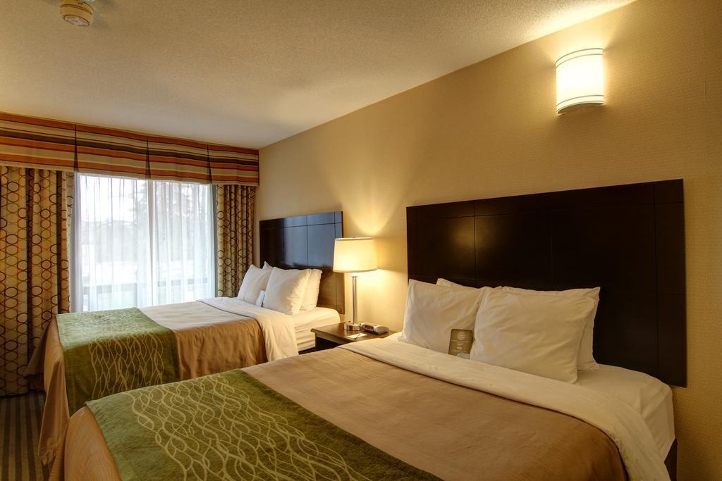 Chatham-Kent Comfort Inn מראה חיצוני תמונה