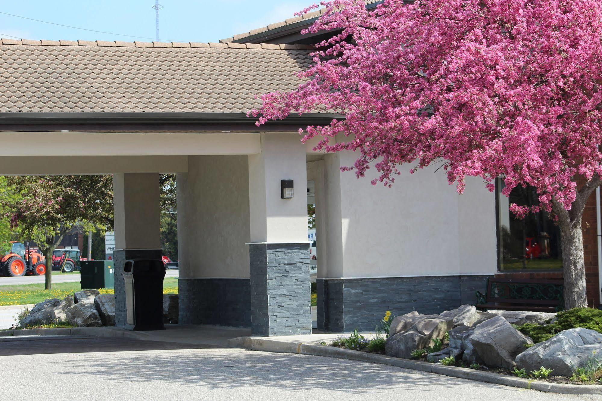 Chatham-Kent Comfort Inn מראה חיצוני תמונה
