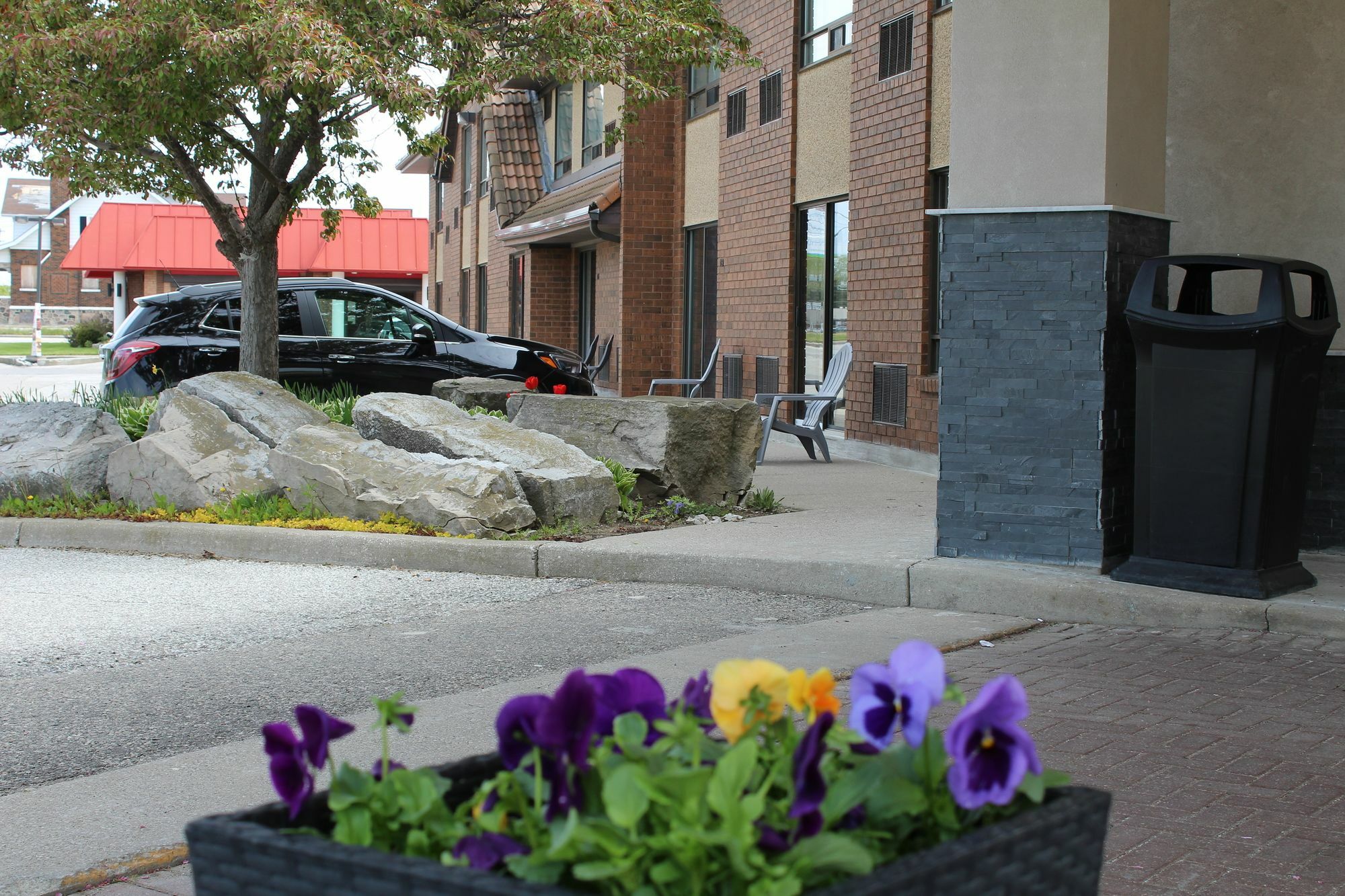 Chatham-Kent Comfort Inn מראה חיצוני תמונה