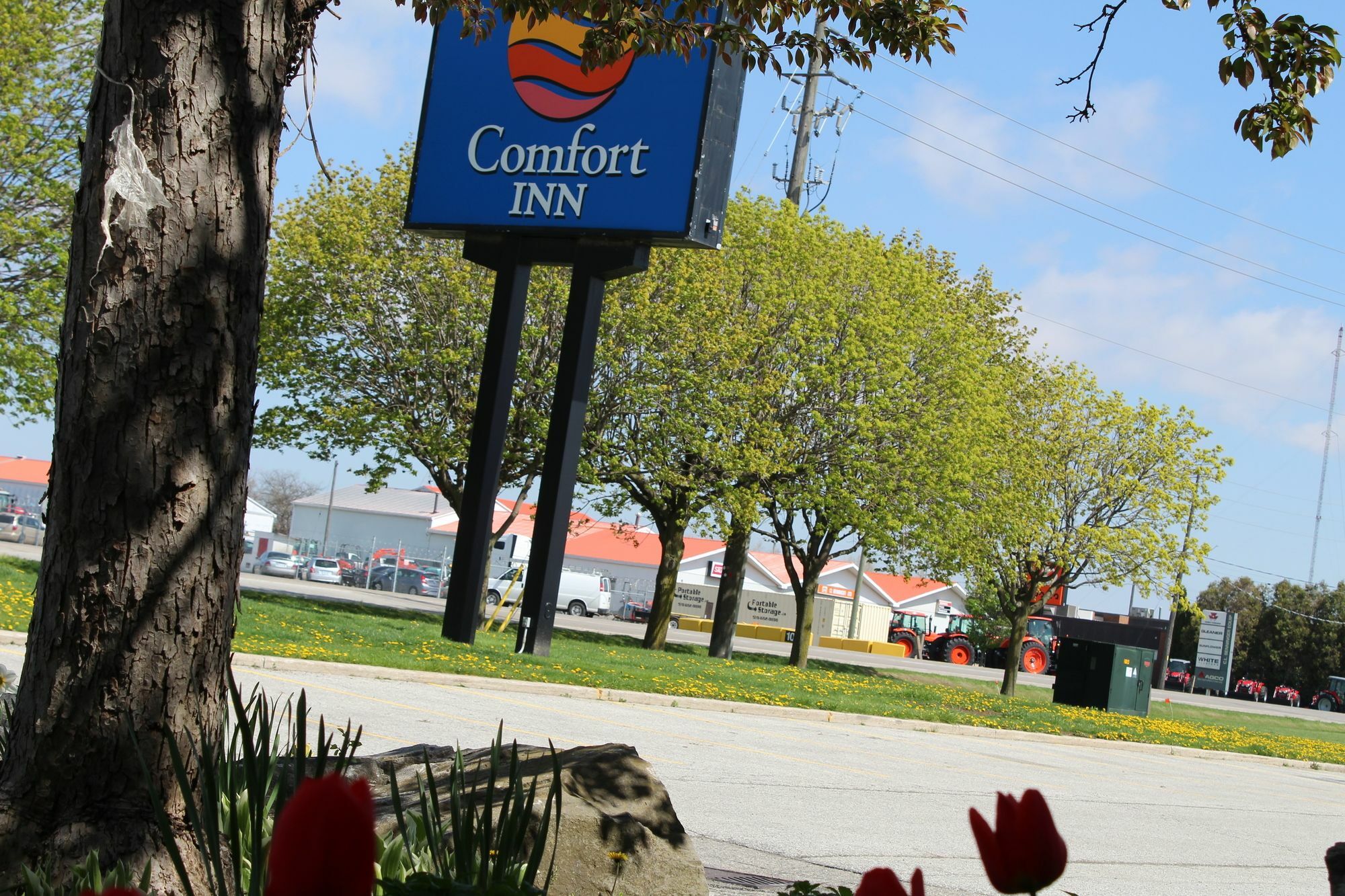 Chatham-Kent Comfort Inn מראה חיצוני תמונה
