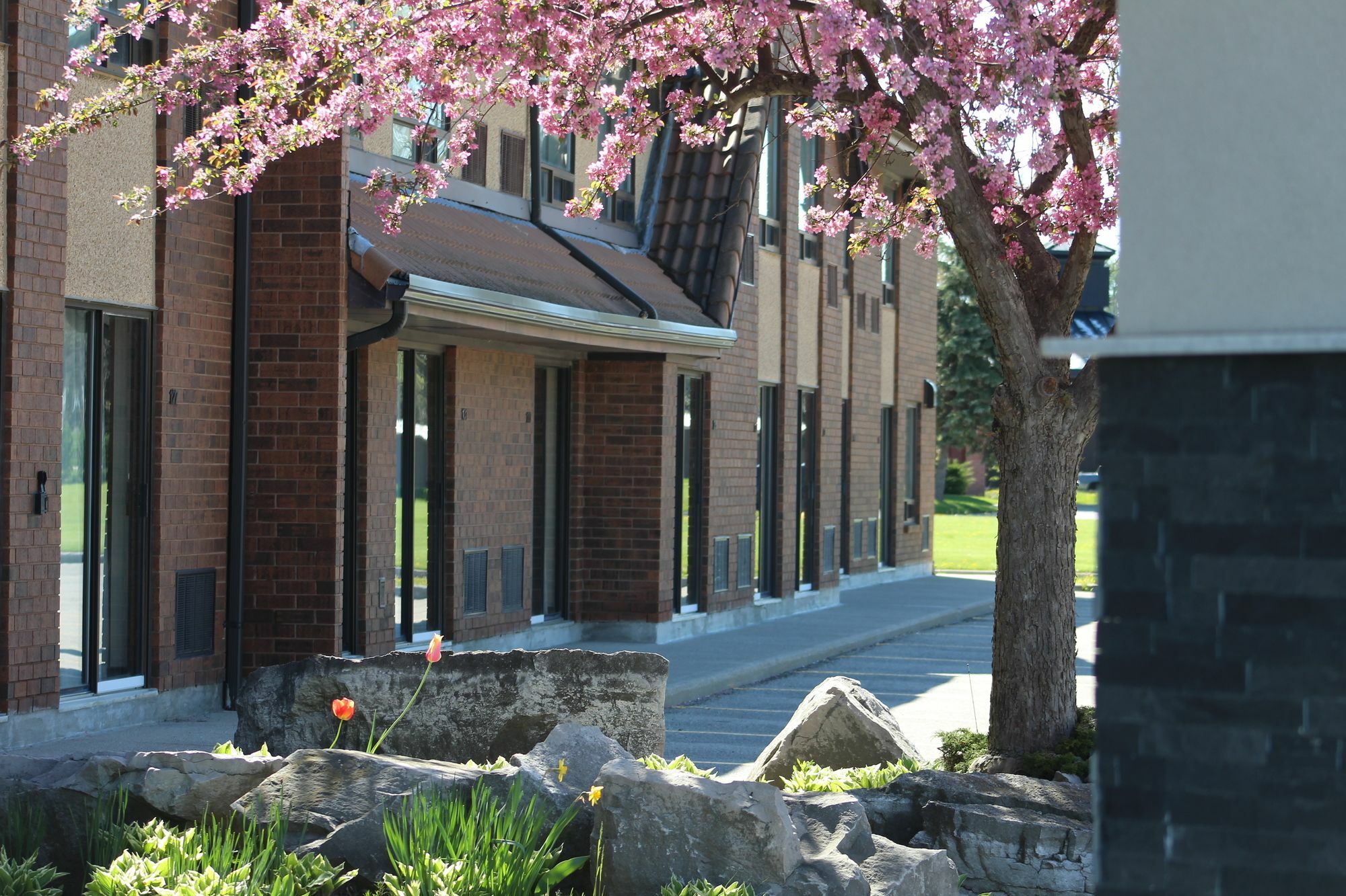 Chatham-Kent Comfort Inn מראה חיצוני תמונה